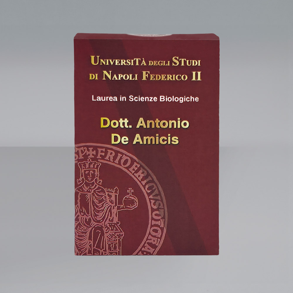 Immagine prodotto aggiuntivo