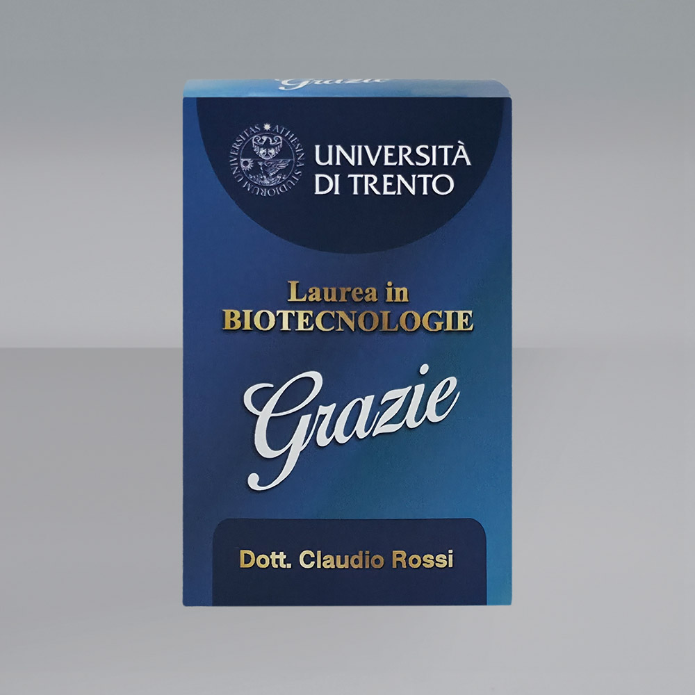 Immagine prodotto aggiuntivo